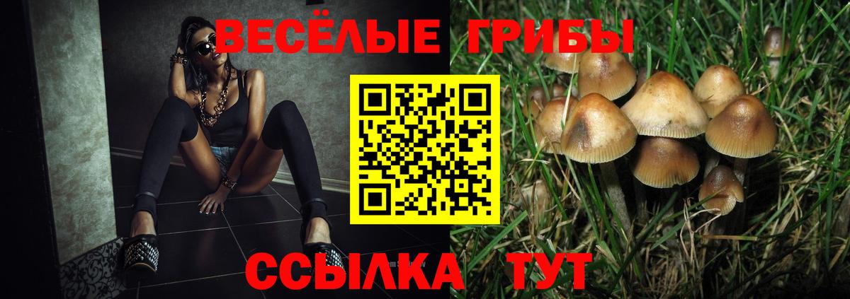 Псилоцибиновые грибы мицелий Лесосибирск