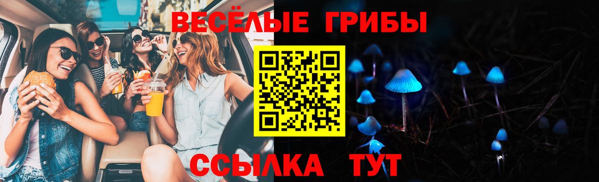 Лесосибирск  Галлюциногенные грибы Cubensis  Вход с VPN 